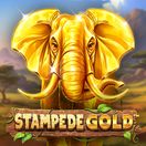 Stampede Gold